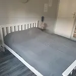 Bloom Hotel